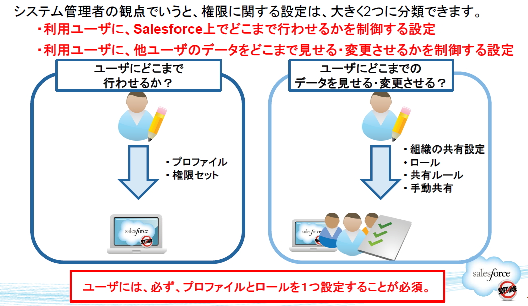 SFDC Org Permission