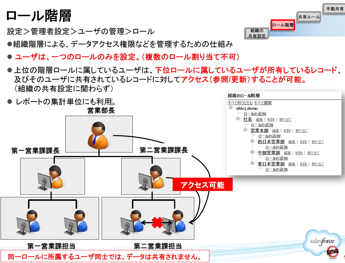 SFDC Org Permission
