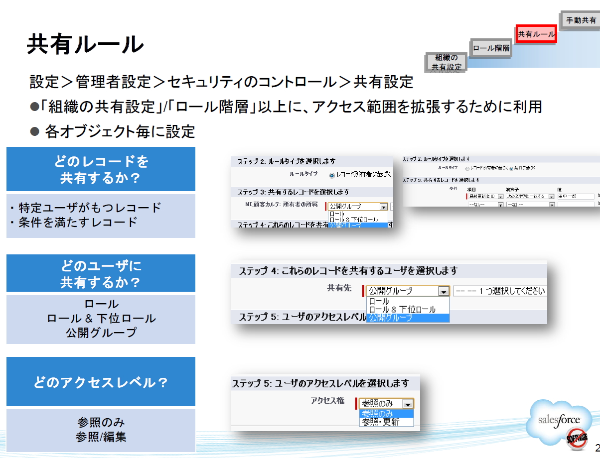 SFDC Org Permission