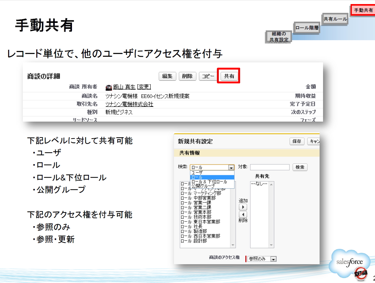 SFDC Org Permission